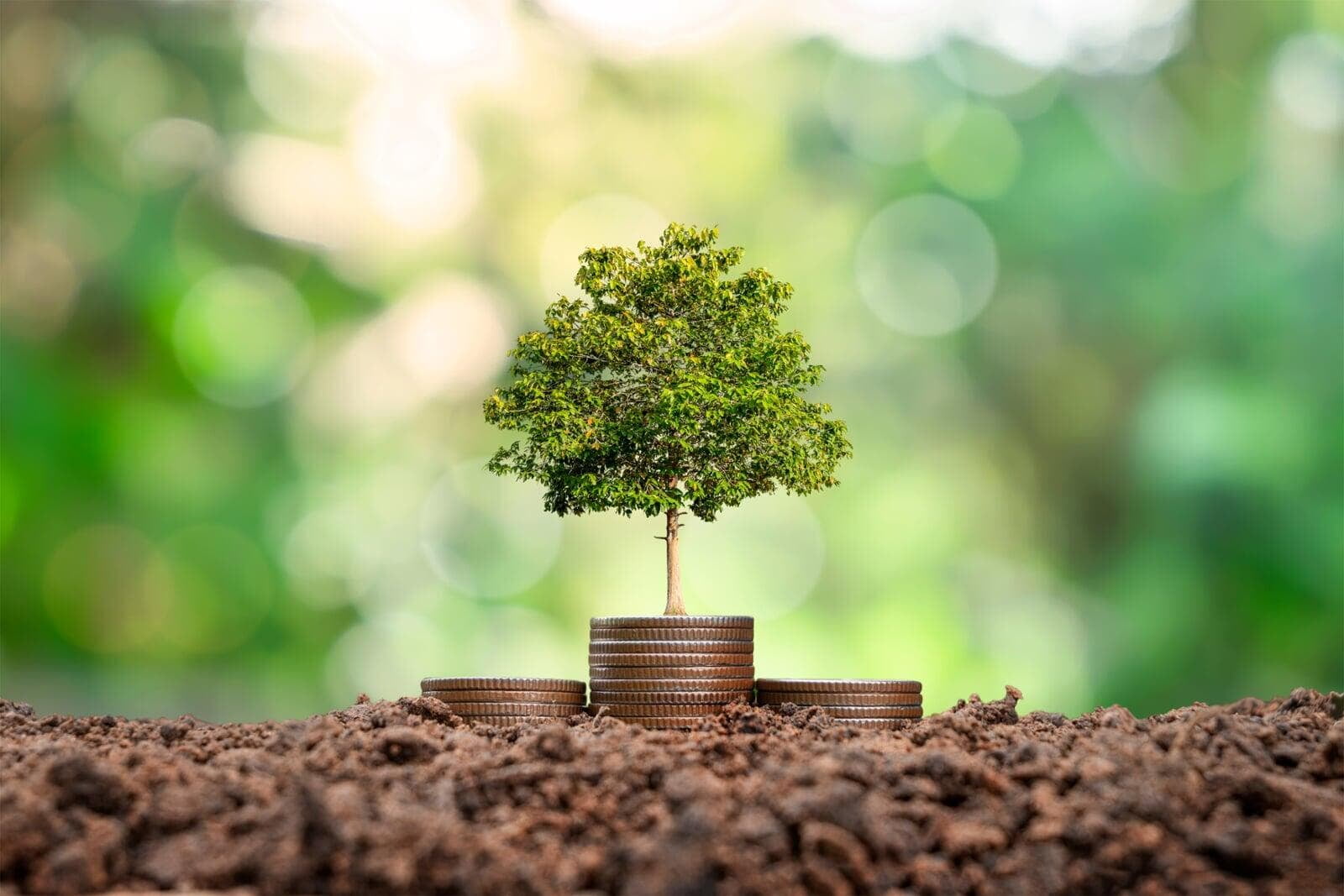Source: AdobeStock_474816130